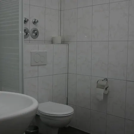 Apartment Traube *