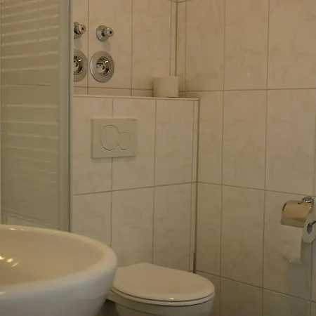 Apartment Traube *